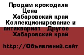 Продам крокодила › Цена ­ 3 000 - Хабаровский край Коллекционирование и антиквариат » Другое   . Хабаровский край